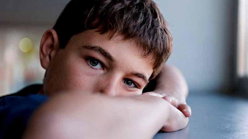 Salud Mental: El Asperger como trastorno del desarrollo