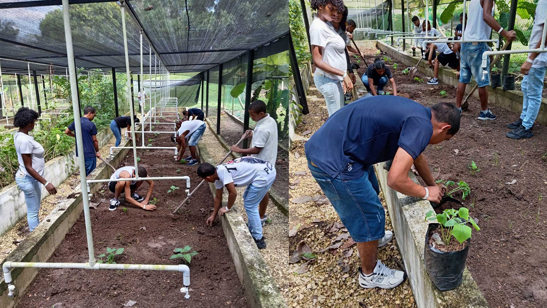 Huerto Sostenible“Sembrando Vida”