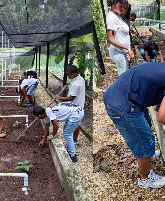 Huerto Sostenible“Sembrando Vida”