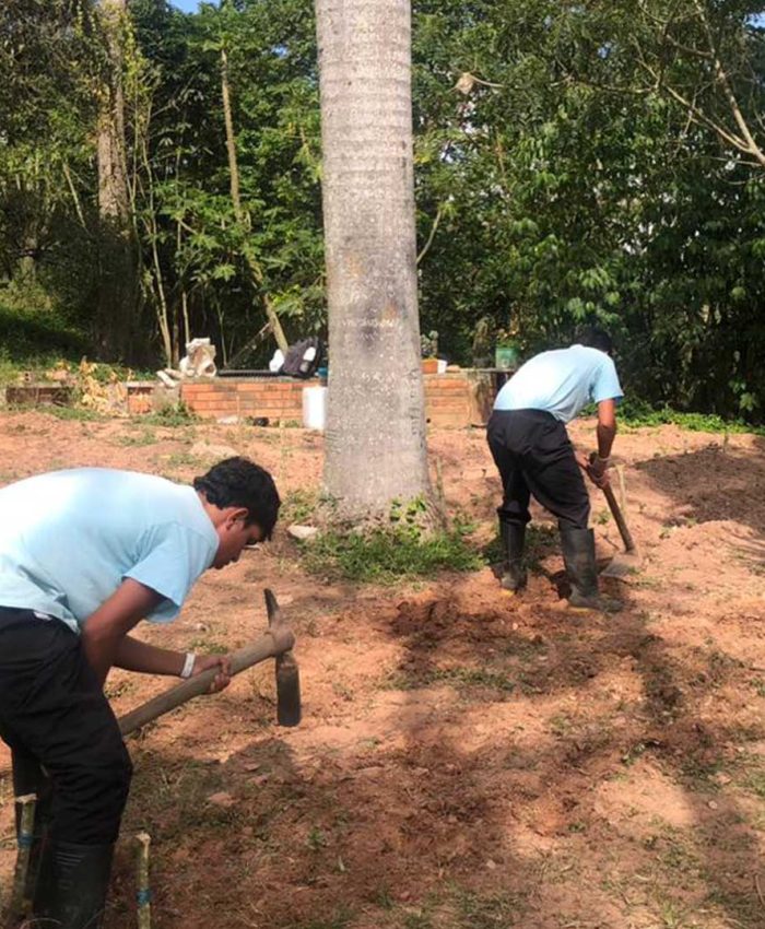 Recreación, familia y trabajo agrícola como herramientas de bienestar integral